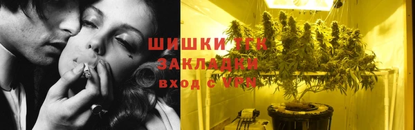 ПСИЛОЦИБИНОВЫЕ ГРИБЫ Белокуриха