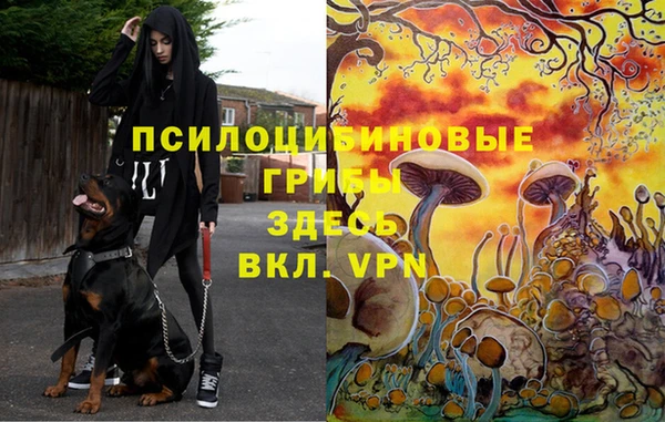 мдма Беломорск