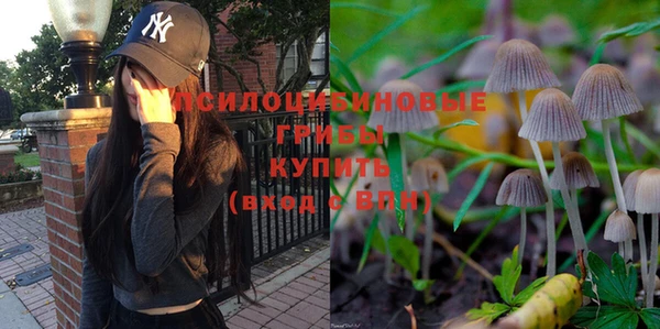 ПСИЛОЦИБИНОВЫЕ ГРИБЫ Белокуриха