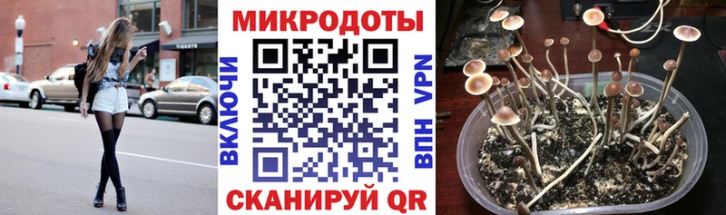 omg как зайти  Волжск  Галлюциногенные грибы прущие грибы  где можно купить  